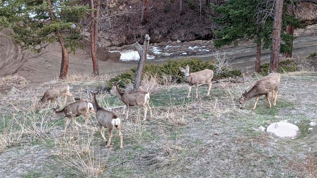 310 Wendelyn Way, Boulder, CO 80302