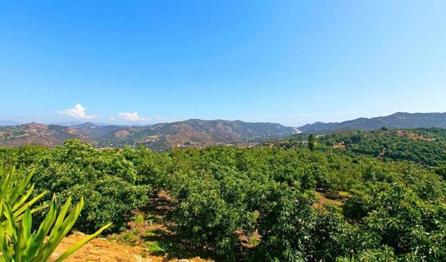1629 Wild Acres Road, Vista, CA 92084