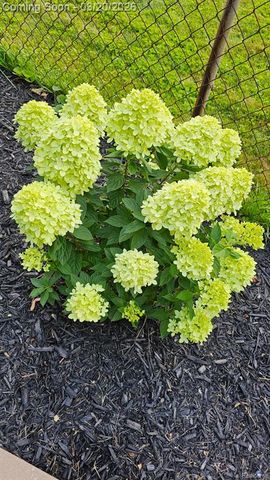 36884 Greenbush Road, Wayne, MI 48184