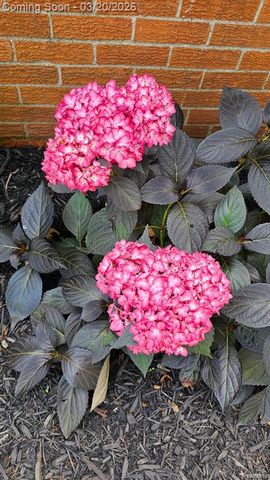 36884 Greenbush Road, Wayne, MI 48184