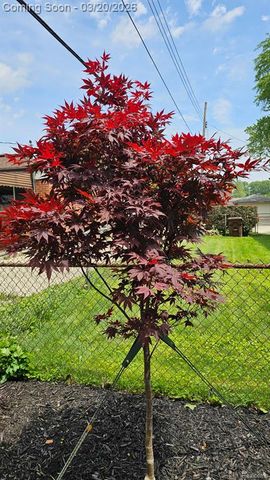 36884 Greenbush Road, Wayne, MI 48184