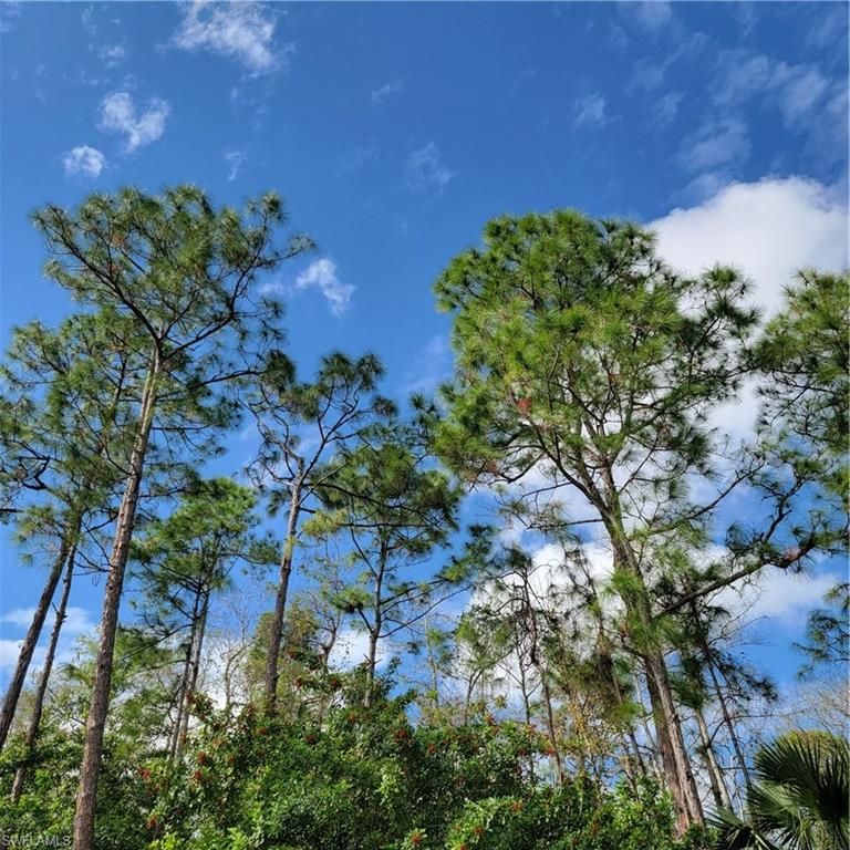 3011 2nd ST NE, NAPLES, FL 34120 — photo 2