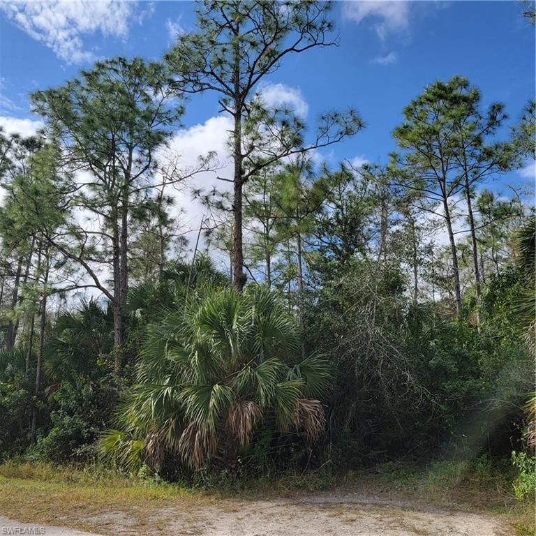 3011 2nd ST NE, NAPLES, FL 34120 — photo 3