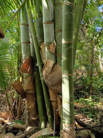 16038 Robin Way, Jupiter, FL 33478