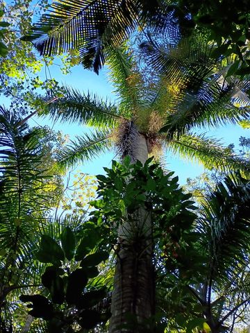 16038 Robin Way, Jupiter, FL 33478