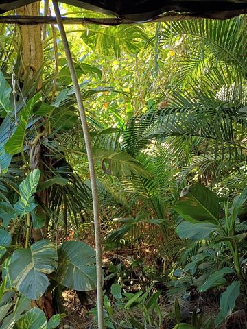 16038 Robin Way, Jupiter, FL 33478