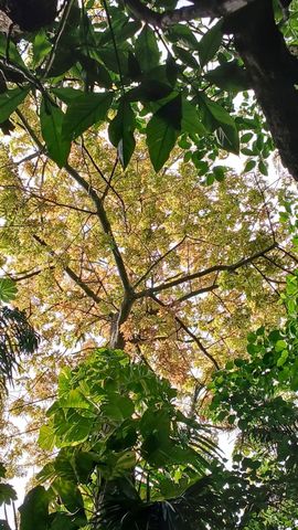 16038 Robin Way, Jupiter, FL 33478