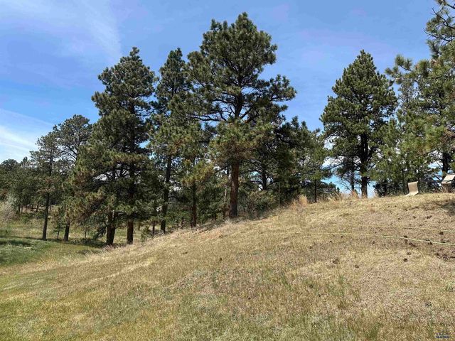 13558 FRONTIER LOOP, Piedmont, SD 57769
