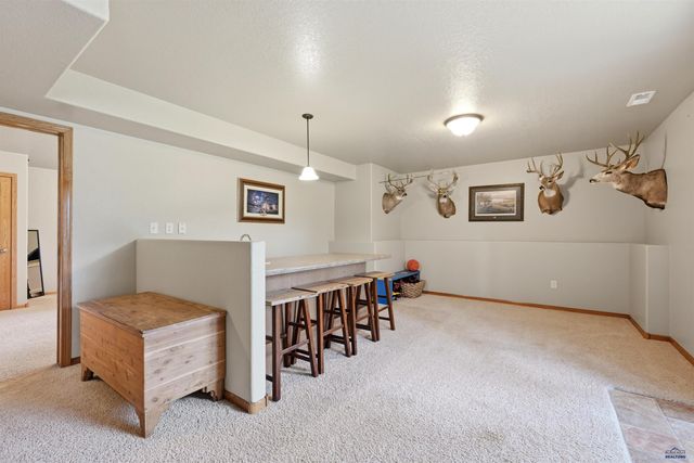 13558 FRONTIER LOOP, Piedmont, SD 57769