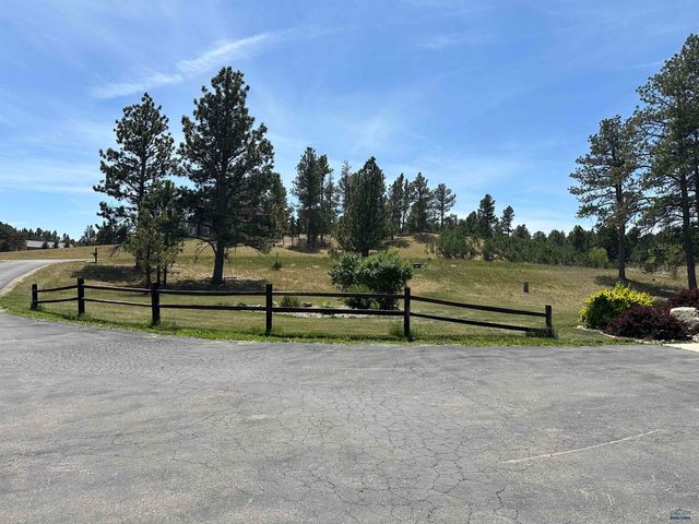 13558 FRONTIER LOOP, Piedmont, SD 57769