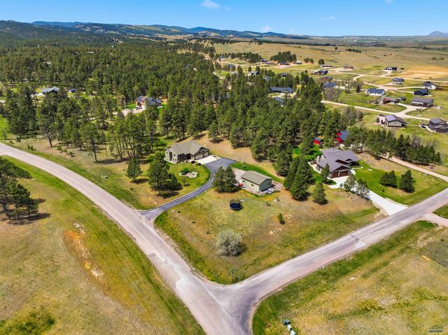 13558 FRONTIER LOOP, Piedmont, SD 57769