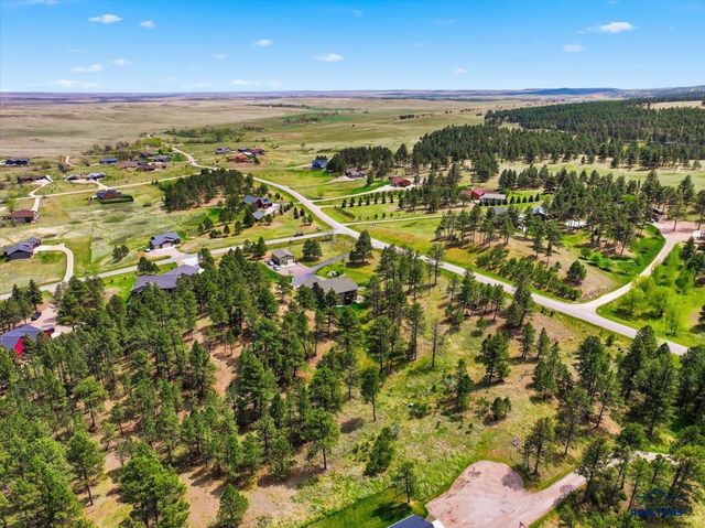 13558 FRONTIER LOOP, Piedmont, SD 57769