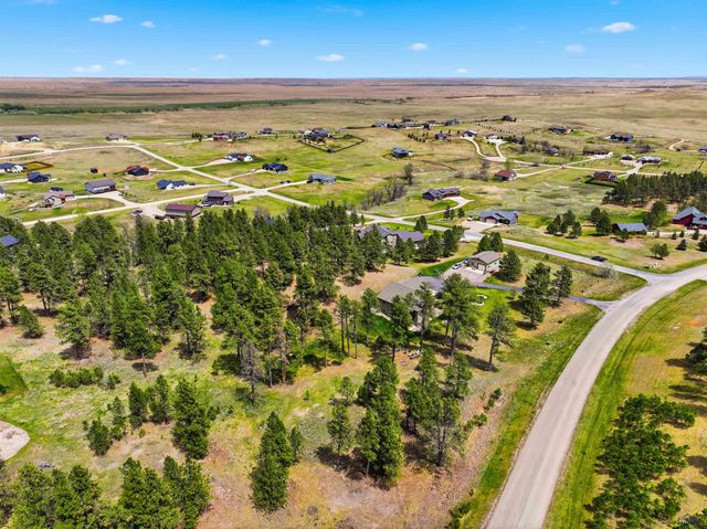13558 FRONTIER LOOP, Piedmont, SD 57769
