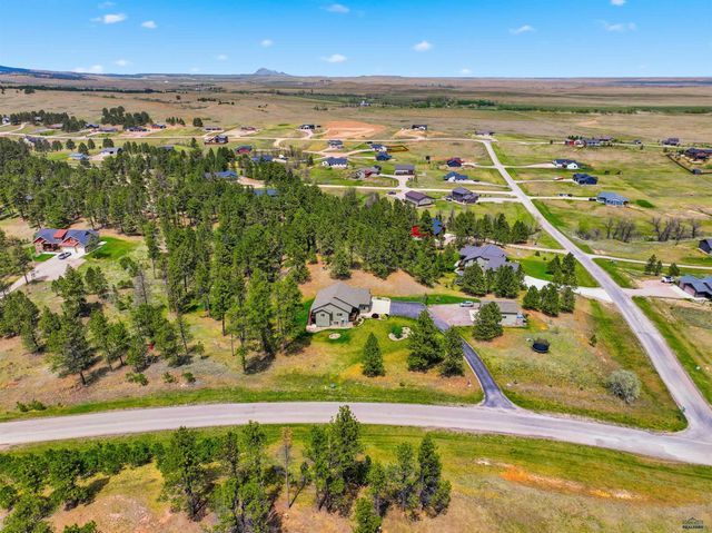 13558 FRONTIER LOOP, Piedmont, SD 57769