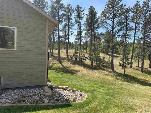 13558 FRONTIER LOOP, Piedmont, SD 57769