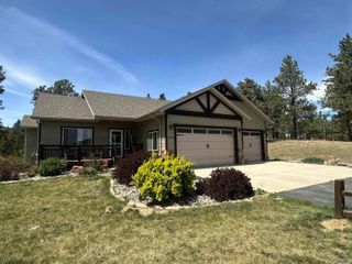 13558 FRONTIER LOOP, Piedmont, SD 57769