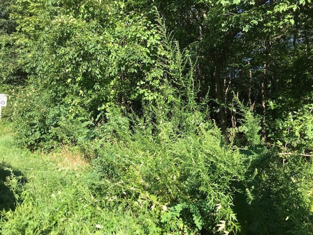 145 Winthrop Street, Rehoboth, MA 02769