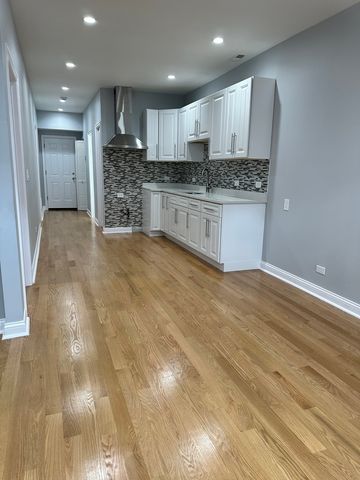 2002 W 21st Place GDN, Chicago, IL 60608