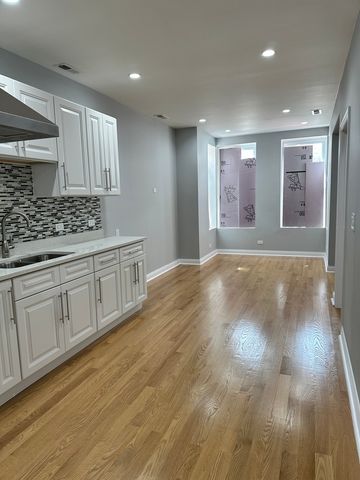 2002 W 21st Place GDN, Chicago, IL 60608