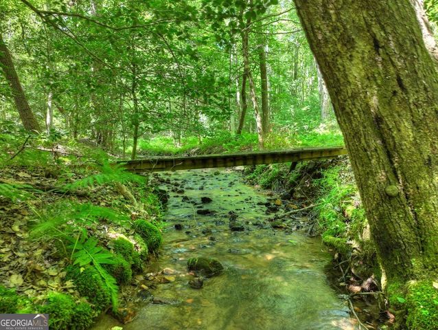 59 Oak Lane, Blue Ridge, GA 30513