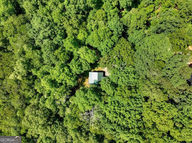 59 Oak Lane, Blue Ridge, GA 30513