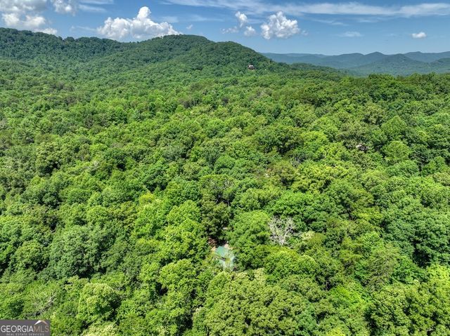 59 Oak Lane, Blue Ridge, GA 30513