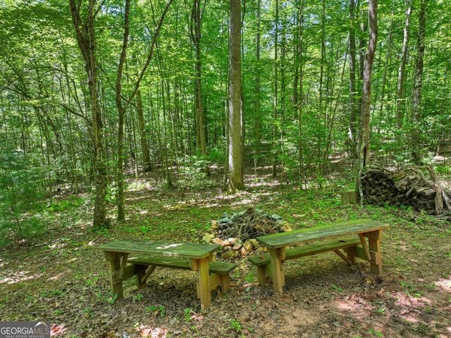 59 Oak Lane, Blue Ridge, GA 30513