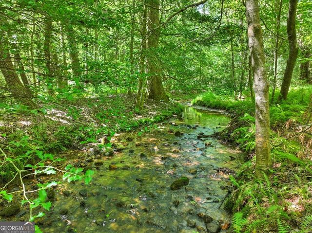 59 Oak Lane, Blue Ridge, GA 30513