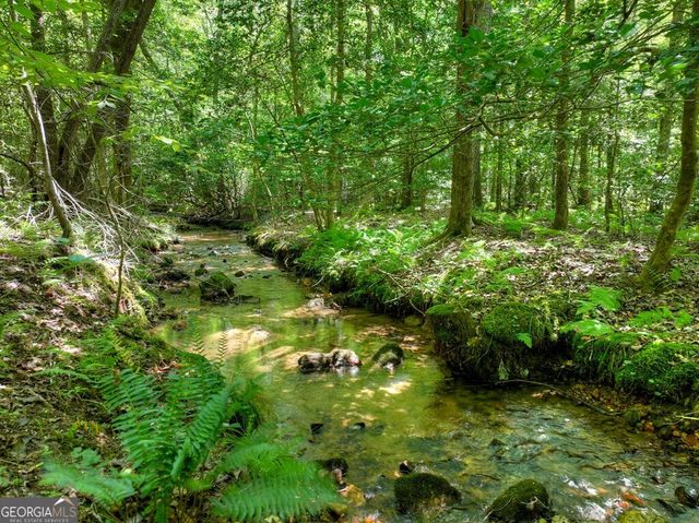 59 Oak Lane, Blue Ridge, GA 30513