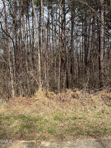 93 Lot Haynoke Drive, Graham, NC 27253