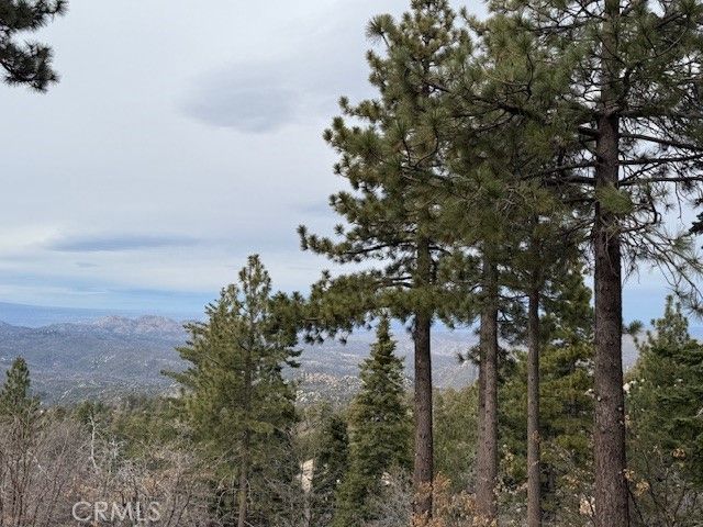 33149 Holcomb Creek Drive, Green Valley Lake, CA 92341