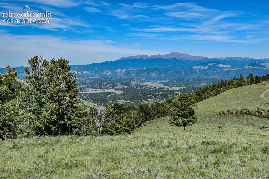 000 Bear Cat Road, Guffey, CO 80820 — exterior