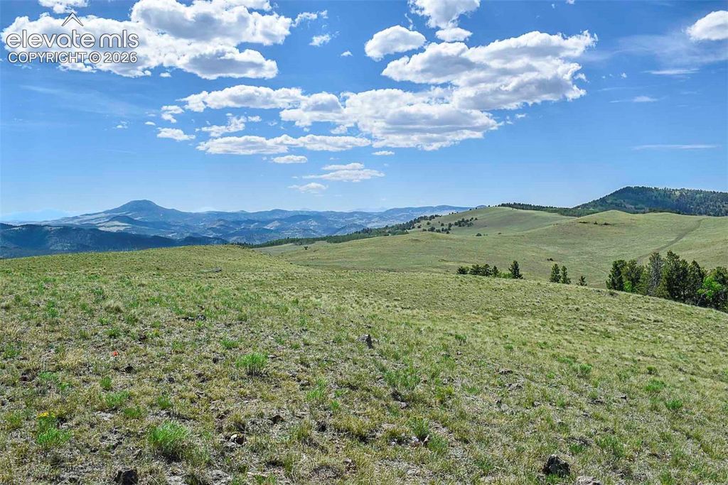 000 Bear Cat Road, Guffey, CO 80820 — photo 2