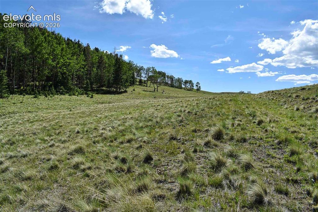 000 Bear Cat Road, Guffey, CO 80820 — photo 3