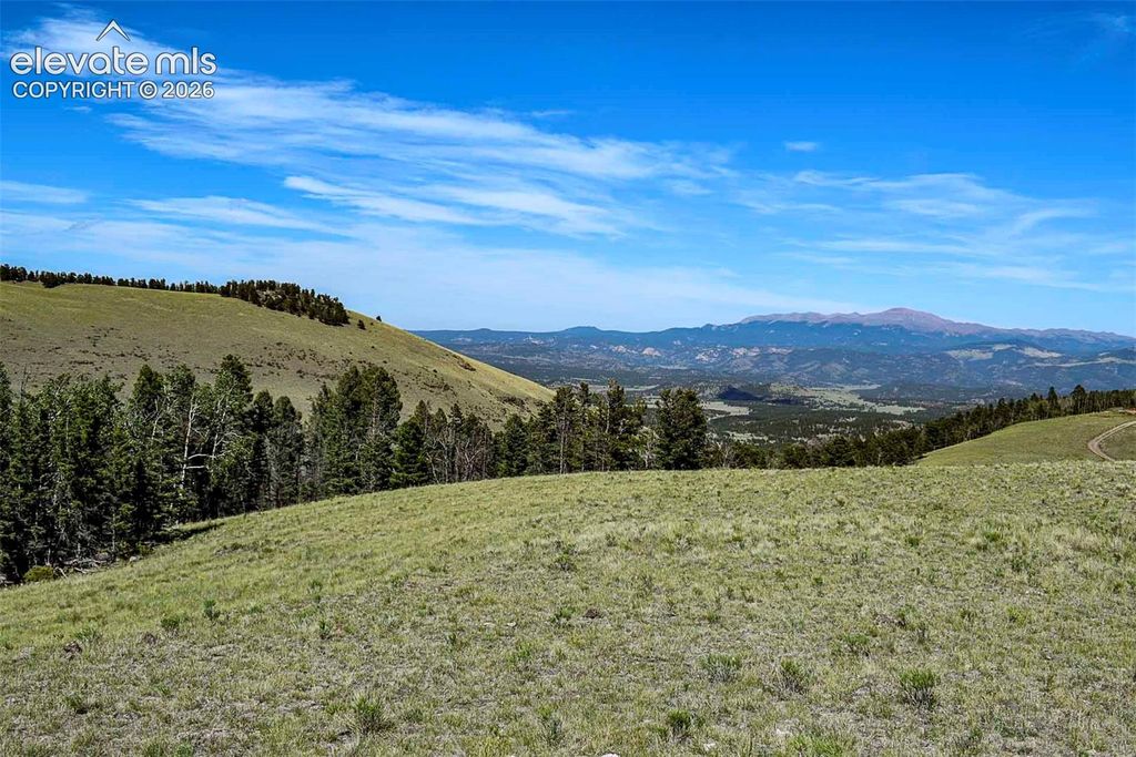 000 Bear Cat Road, Guffey, CO 80820 — photo 4