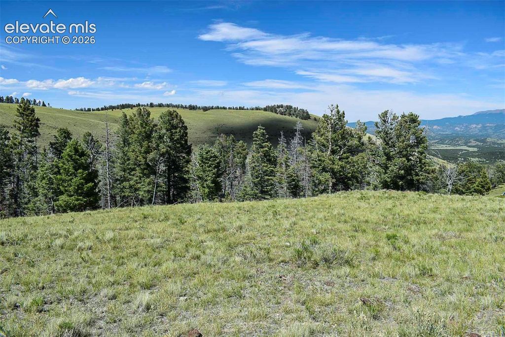 000 Bear Cat Road, Guffey, CO 80820 — photo 5