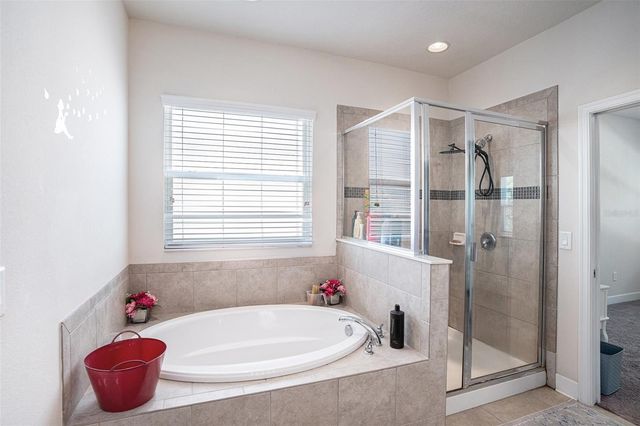 10439 WATERSTONE DRIVE, Riverview, FL 33578