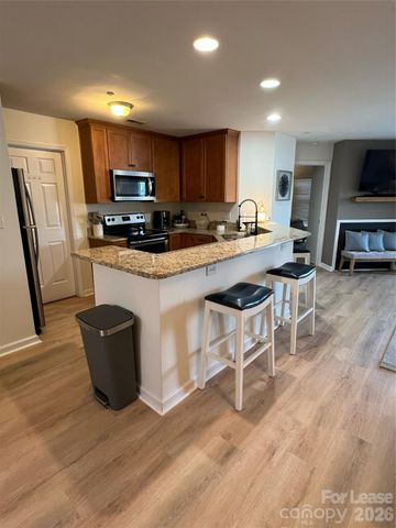 18629 Vineyard Point Lane, Cornelius, NC 28031