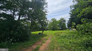 GREEN MEADOWS DR, Capon Bridge, WV 26711