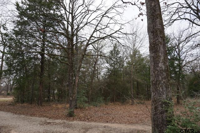 10530 Private Road 5207, Malakoff, TX 75148