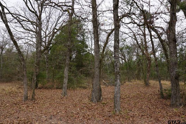 10530 Private Road 5207, Malakoff, TX 75148
