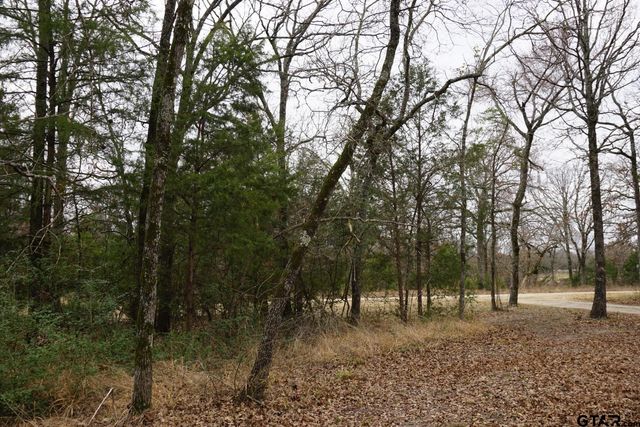 10530 Private Road 5207, Malakoff, TX 75148