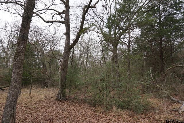 10530 Private Road 5207, Malakoff, TX 75148