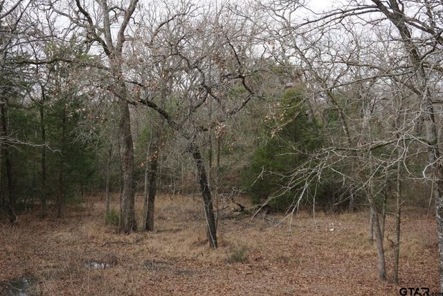10530 Private Road 5207, Malakoff, TX 75148