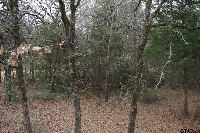 10530 Private Road 5207, Malakoff, TX 75148