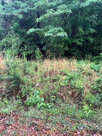 444 Mercantile Road, Mcclellanville, SC 29458