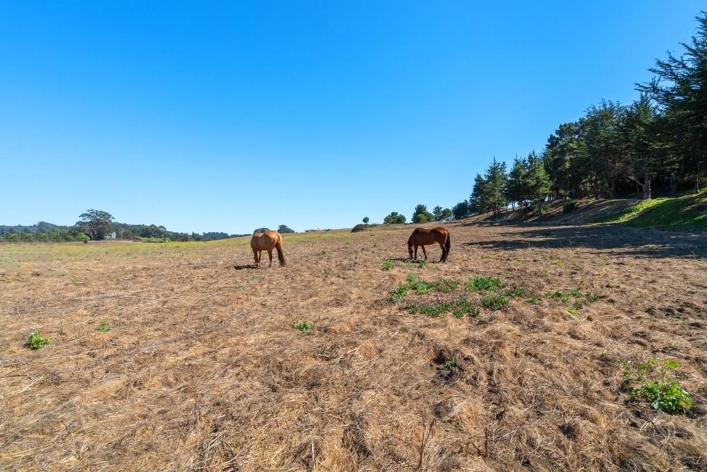 Image 106 of property listing at 112 Holiday Drive, La Selva Beach, CA 95076
