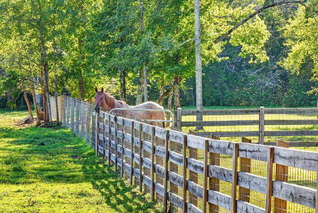 4792 Ollie Chunn Rd, Spring Hill, TN 37174