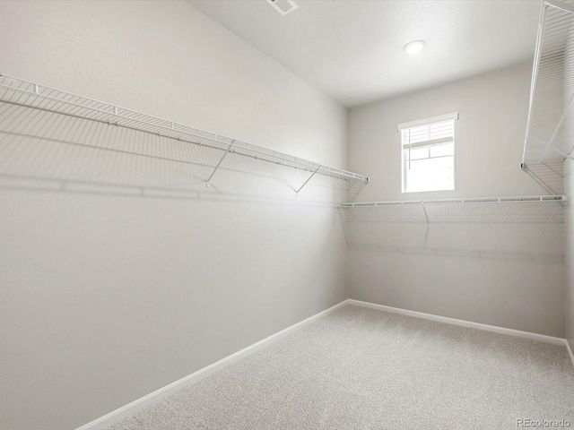 1609 Rumley Creek Dr, Windsor, CO 80550