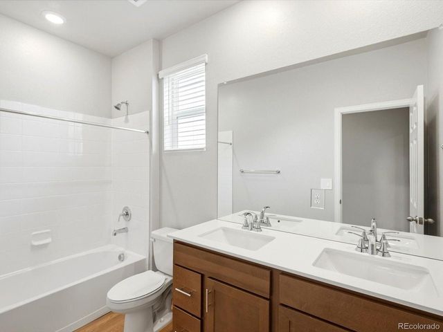 1609 Rumley Creek Dr, Windsor, CO 80550